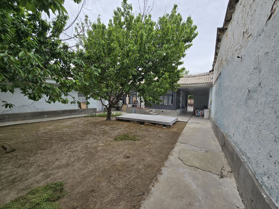 Срочно Сотувда Ховли