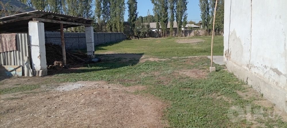 Срочна курик йер сотилади