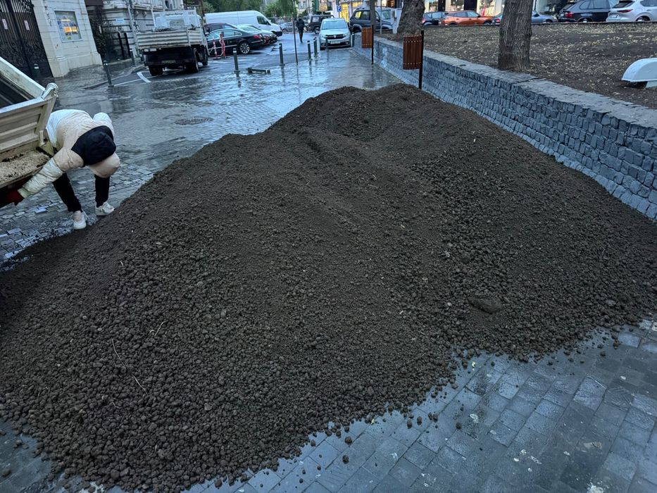 Pamant negru pentru gradina