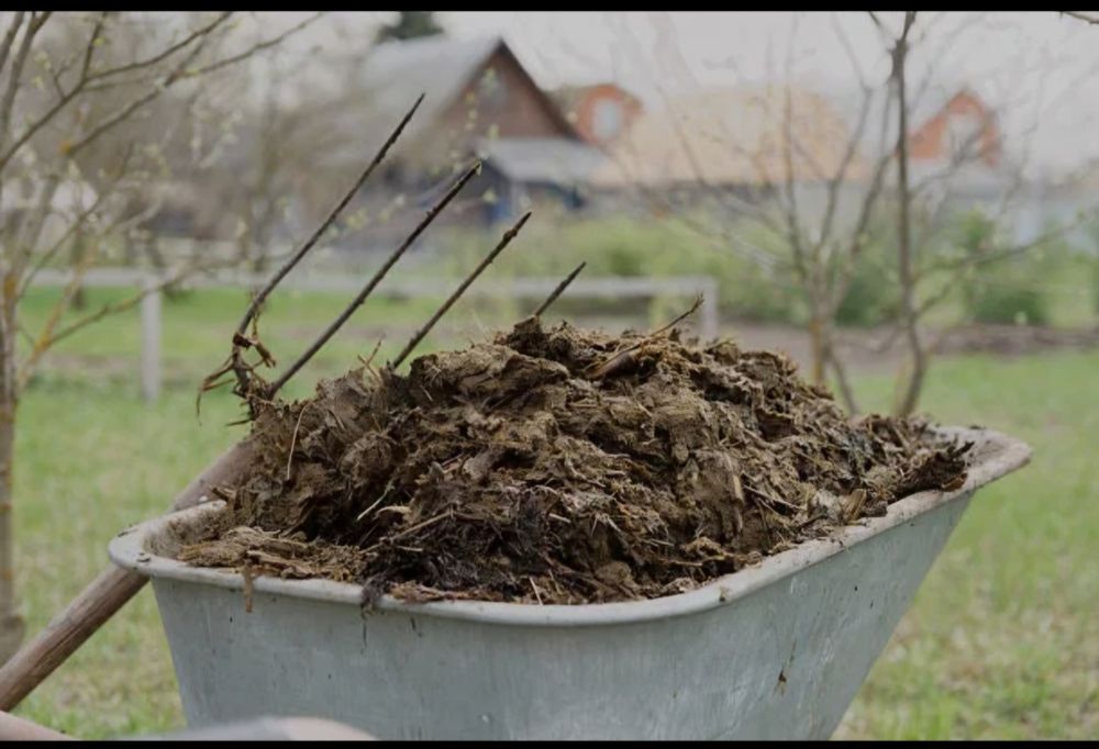 Ingrasamant natural, compost natural, com. Oarja, jud. Arges