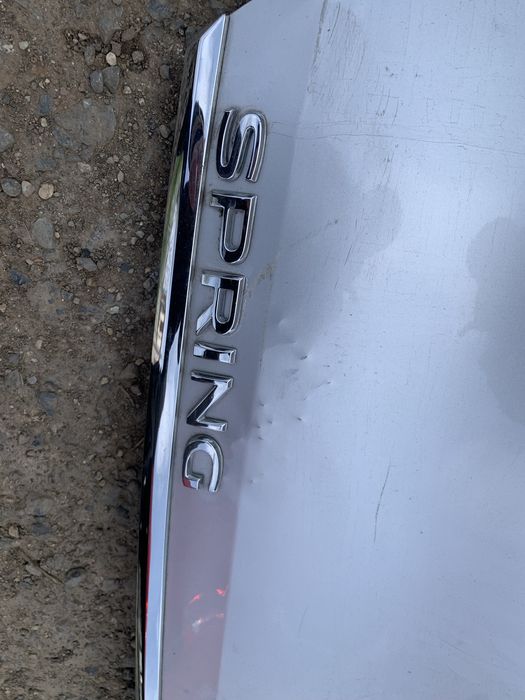 Haion Dacia Spring an 2021/2022/2023/2024
