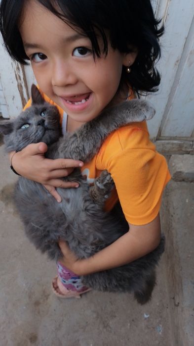 Mushuk  sotiladi rangi kulrang tusga ega bu