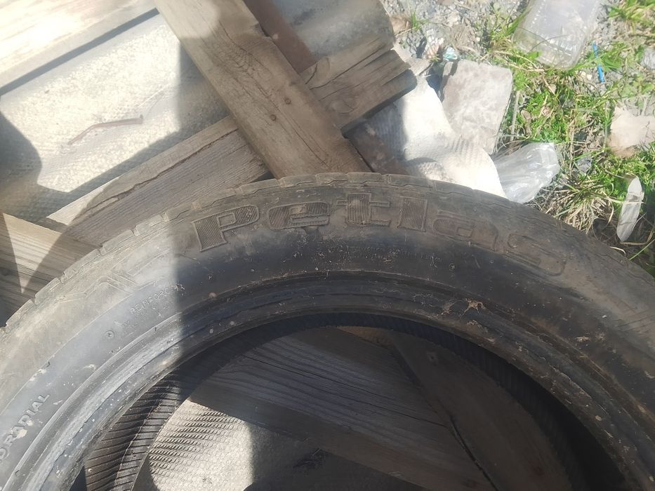 Еки ризина летный