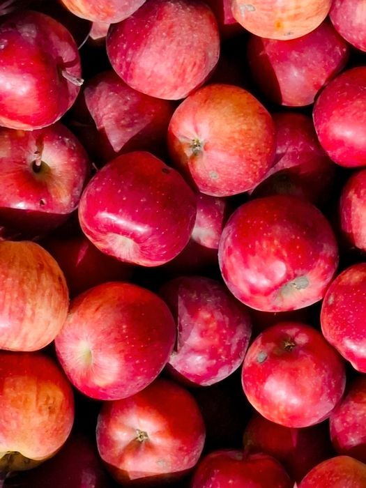 Яблоки Американка.
В Есике в большом объеме.
Тор