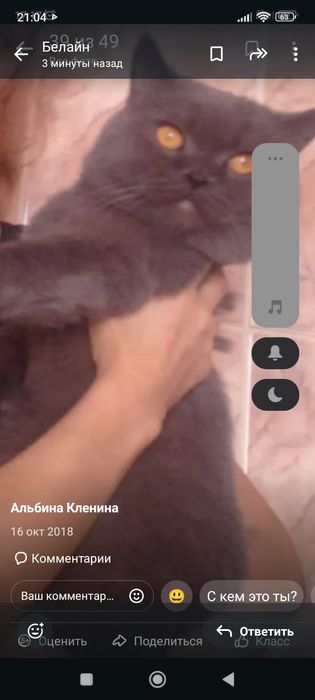 Шотланды 1,5 месяцев.