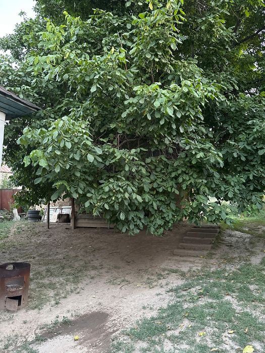 Прадается дом торг уместен