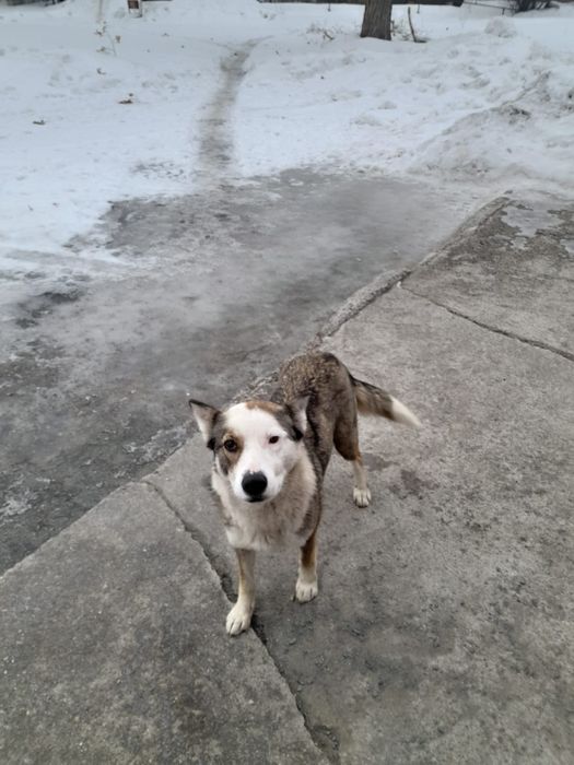 Пристраиваются малыши