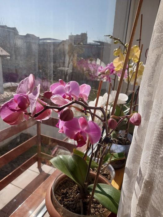 Casa de vânzare poate fii căminul tău,dar și afacerea ta!!!