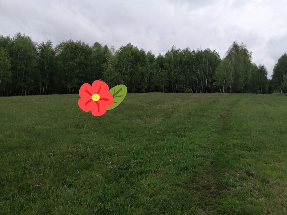 Parcele de vânzare în sat de vacanta Calatele Padure, jud. Cluj