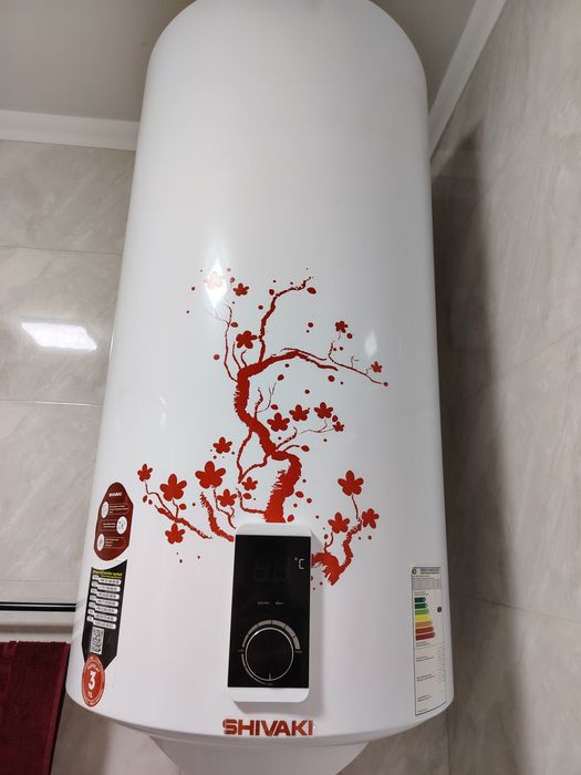 Аристон, электрический