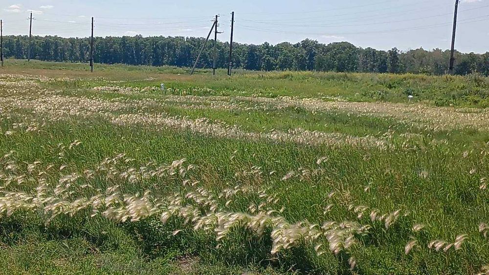 Земельный участок