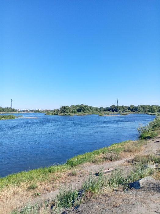 Дача в аренду, банька, юрта...