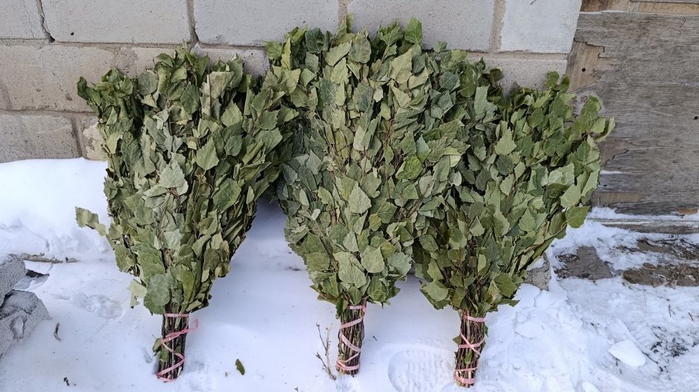 Веники для бани березовые