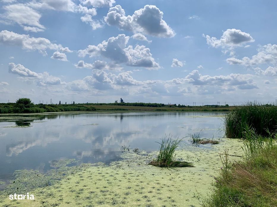 Teren Crevedia 45000 mp