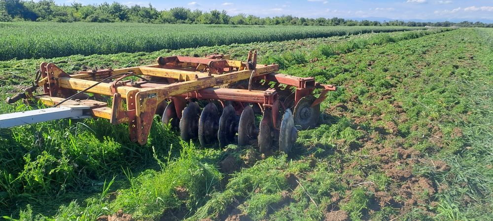 Quivoqne disc 3 m în V piesa