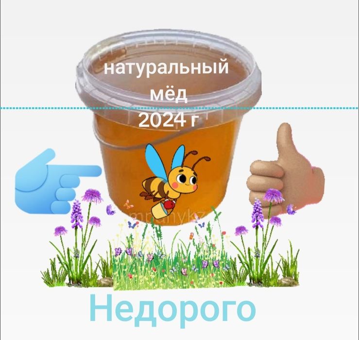 Продам мёд недорого с шемонаихи