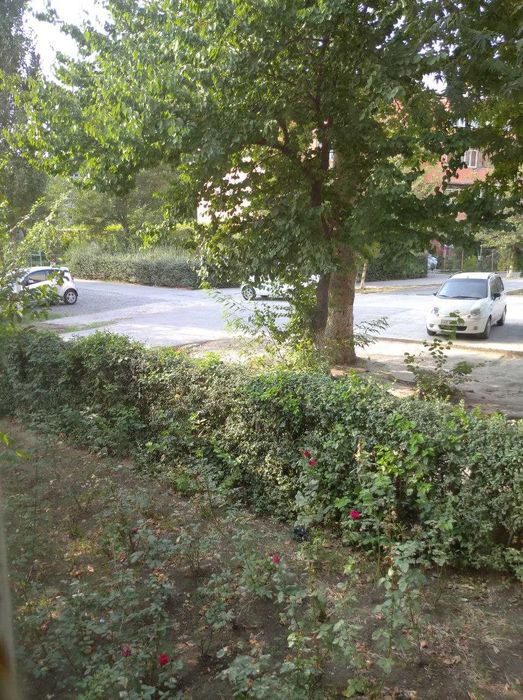 Доканал, конечка, 1-этаж, 2 хонали (56 кв) без маклер квартира сотилад