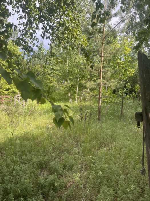 Продам дачу в с/т Борки в лесном массиве