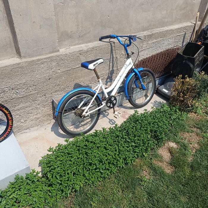 Velik sotiladi   olti yishdan 17 yoshgacha