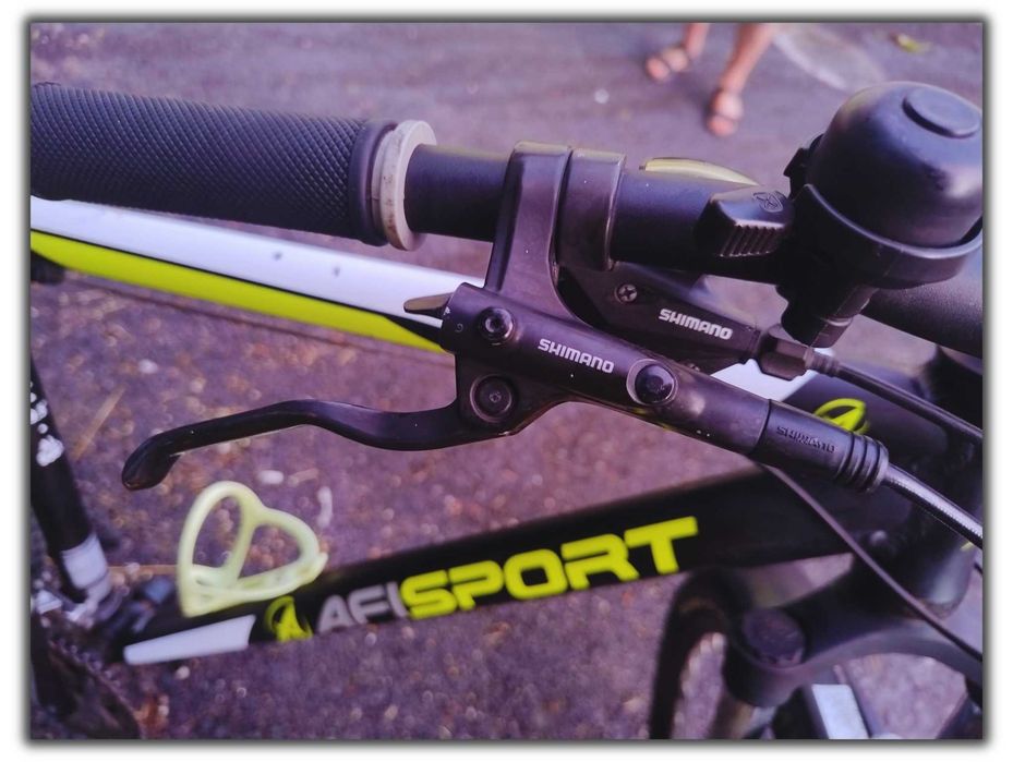 Bicicletă Mountain Bike (MTB) Afisport, 29 Inch, Cadru L, Frâne Disc
