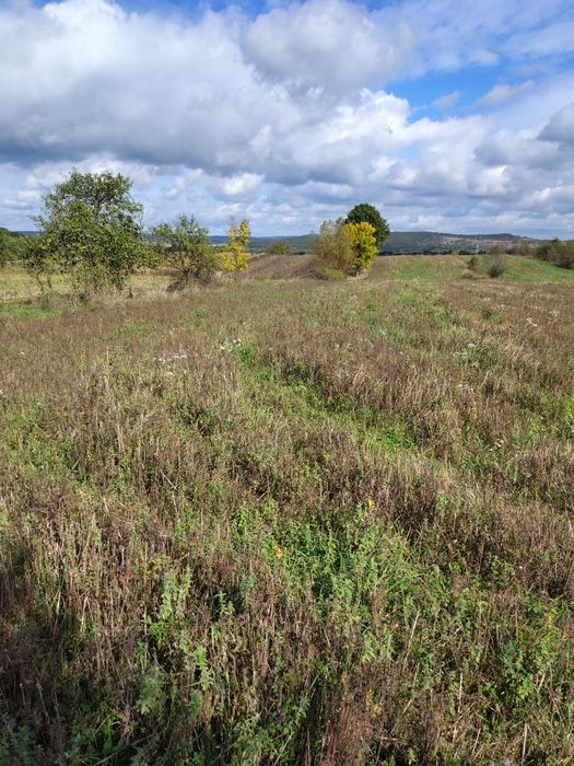 Casa de vânzare si gradina sat Breazova jud Timiș