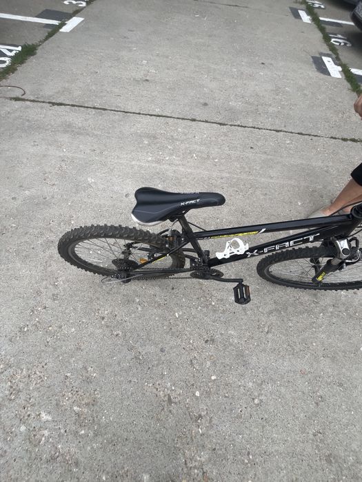 Bicicleta X-Fact Flash 24