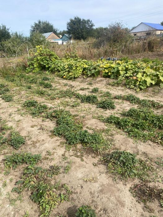 Продам дачный  участок