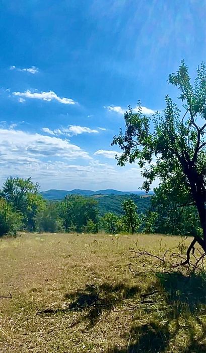 Domeniu forestier 50 ha | Priveliști spectaculoase | La 1 oră de București | Investiție unică