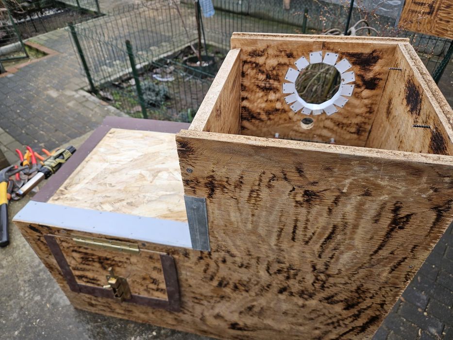 Execut cuiburi papagali