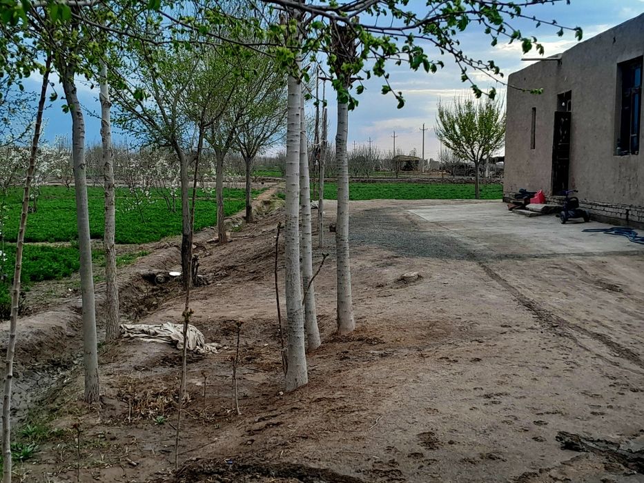 Uy Sotiladi !!! Narxi ustida kelishiladi