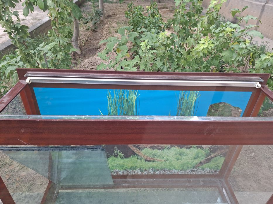 Akvarium sotiladi arzon