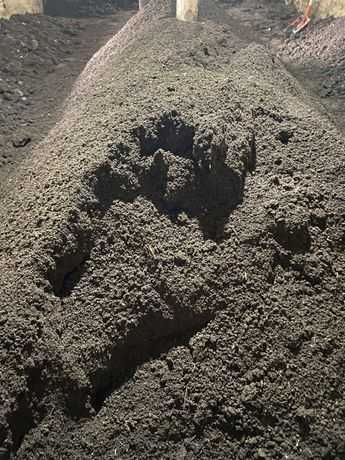 Biyagomes Optim Narhlarda