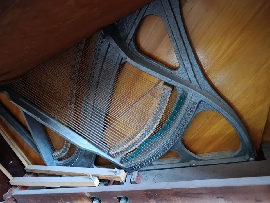 Riga orginal piyanina