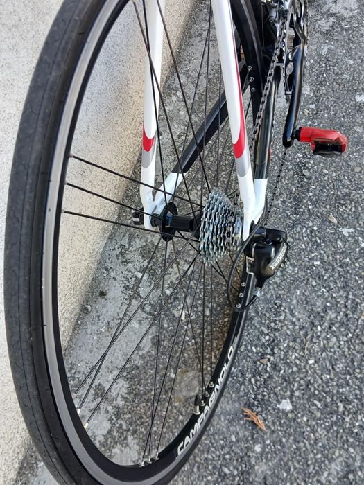 Cursiera Colnago carbon