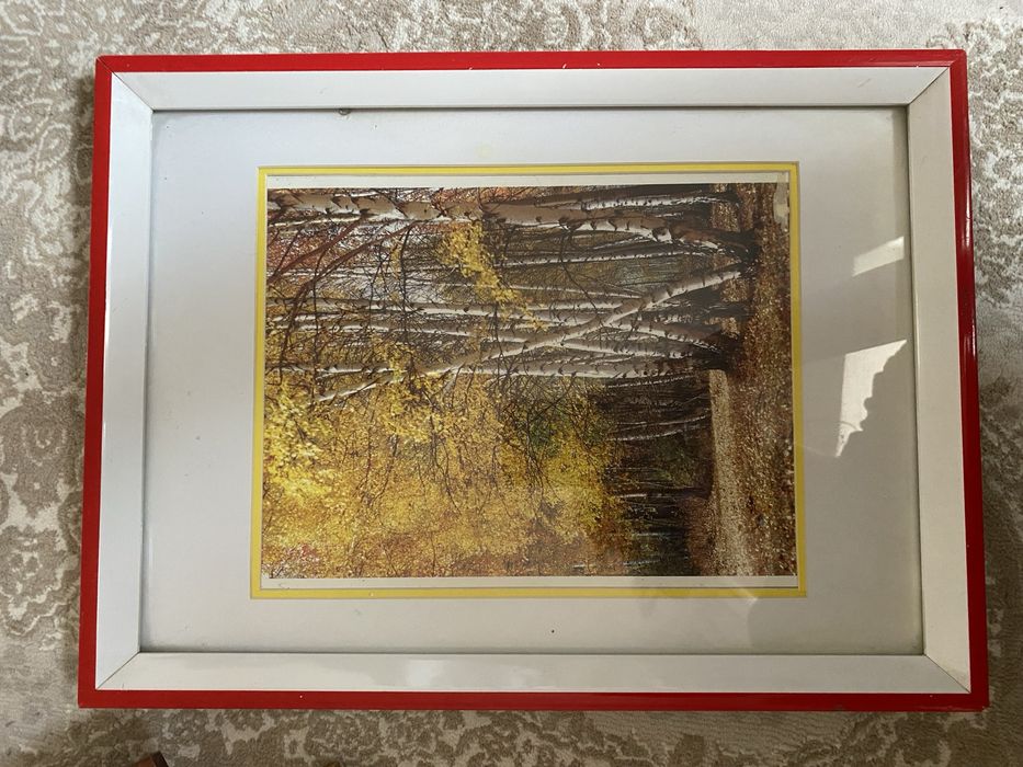 Продам картины все за 3000 тенге