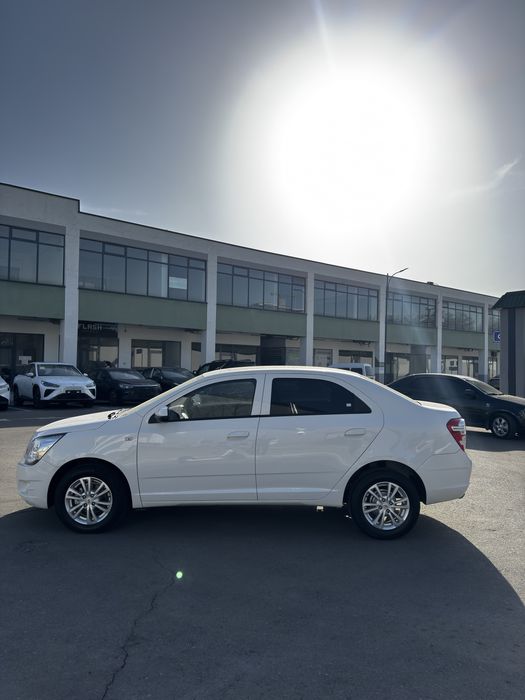 Cobalt Ltz yilli 2023