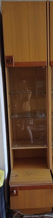 Холова секция ,,Иглика"