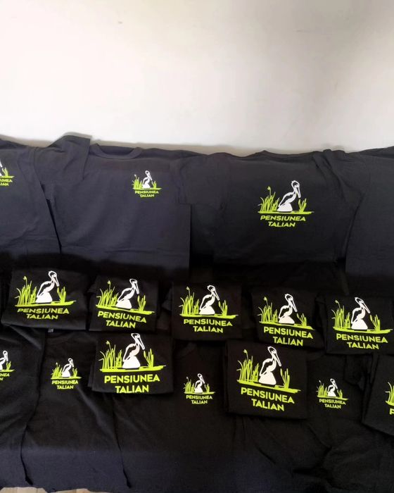 Servicii de Imprimare tricouri- personalizare DTF- print DTF