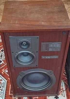 Усилитель бриг 001 первая версия + Калонка Кливер 35ас 028 есть кол-во