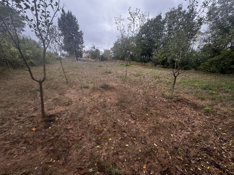 Продава се Парцел в с. Садово, Област Варна - 1000 кв.м за 13 €/кв.м - Снимка #4