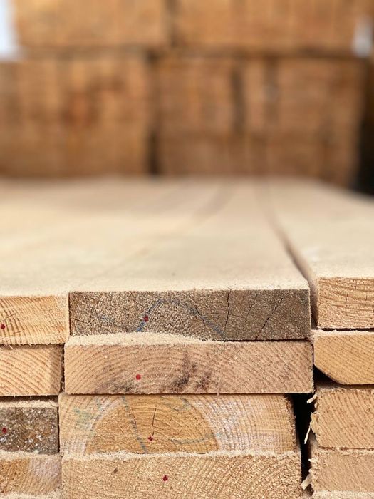 Тахта сифатлиси сосна