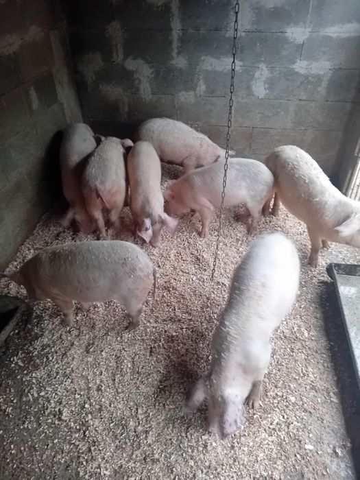 Schimba locatia.  Zero sapte 65031440