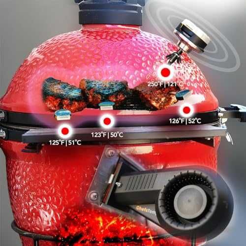 Нов смарт Умен термометър хъб за грил и пушилня с 4 сонди WiFi BT готвене скара