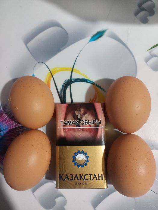 Продам домашние крупные яйца.