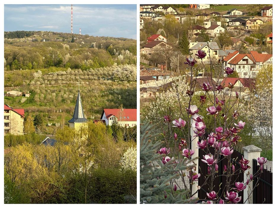 Bucium - Pădurea de Tei | Casă 140 mp | Vedere Superbă & Panouri Fotovoltaice