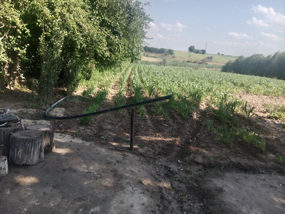 Ташкент в Бука Бука мфй қудайқул махалласи