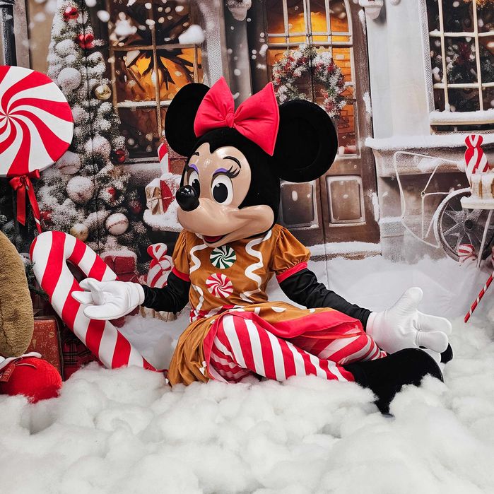 Costum Mascotă Minnie Mouse Disney de Crăciun cu Cap 3D Profesional – Rochie Turtă Dulce, Handmade, Petreceri și Evenimente
