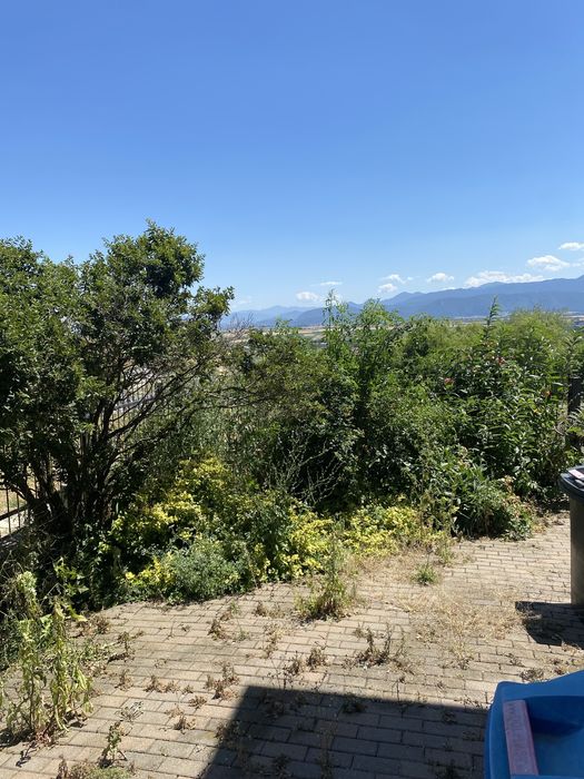 Plantare gazon, gard viu si plante ornamentale + defrisarea gradinilor