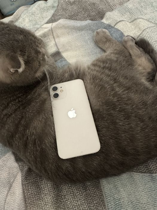Iphone 12 mini 64гб продам обмен