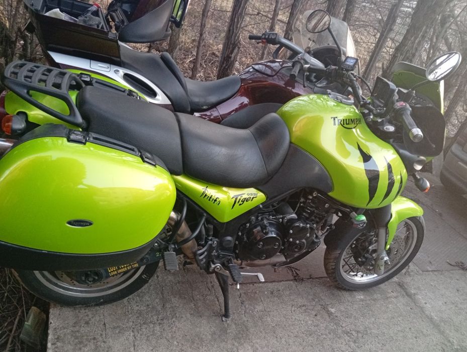 Triumph Tiger 955 i